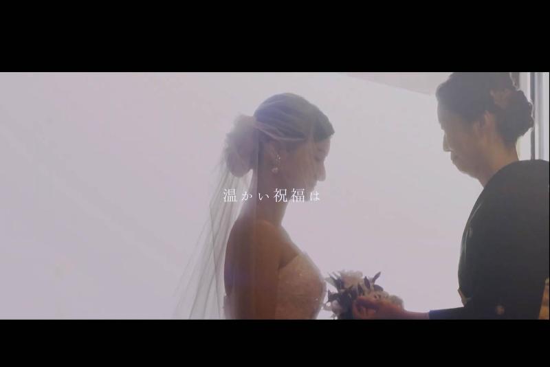 株式会社クローヴプラスワンの求人・転職情報