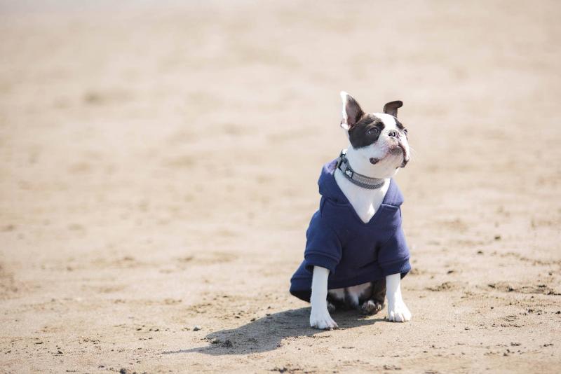 株式会社SOULMATEのアルバイト・バイト求人情報-05