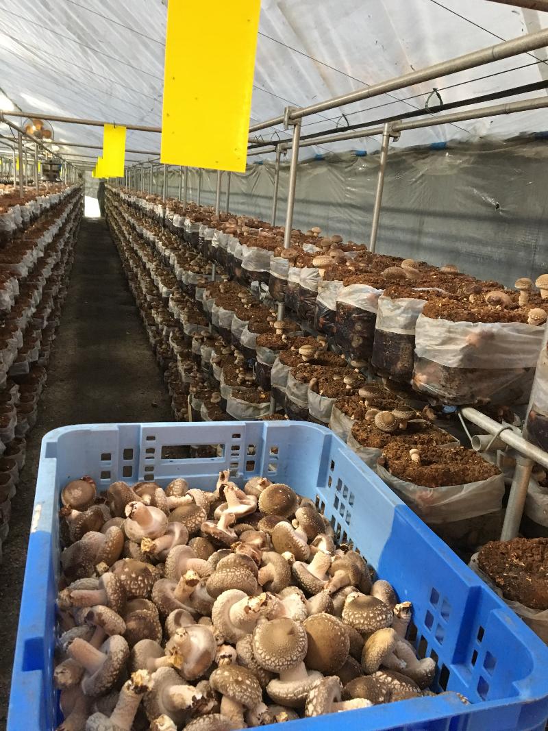 株式会社百穀の求人・転職情報