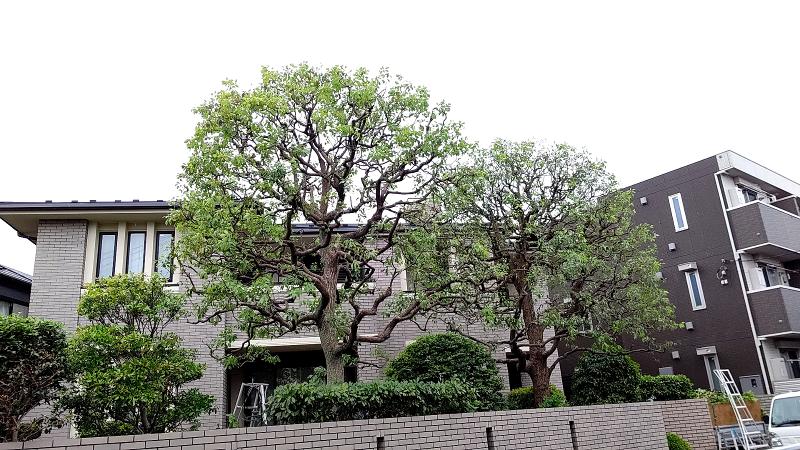 ひるた庭縁合同会社のアルバイト・バイト求人情報-02