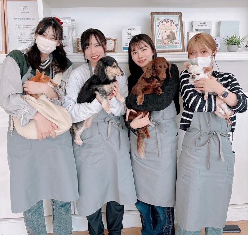 株式会社ANELLA Groupの求人・転職情報