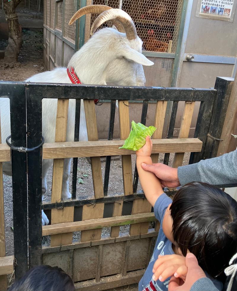 リタスクールのアルバイト・バイト求人情報-04