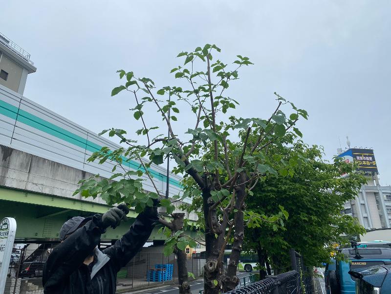 合同会社GLOWの求人・転職情報