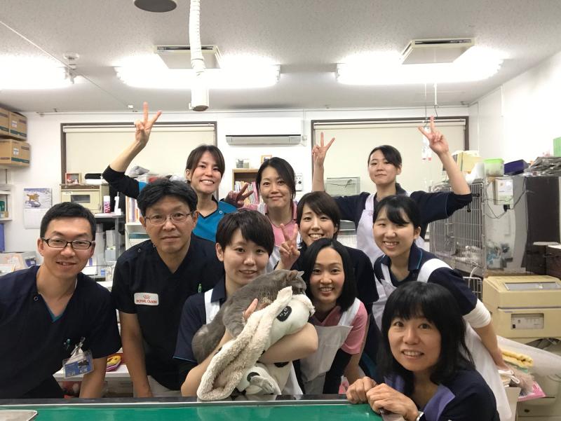 あいの里動物病院の求人・転職情報
