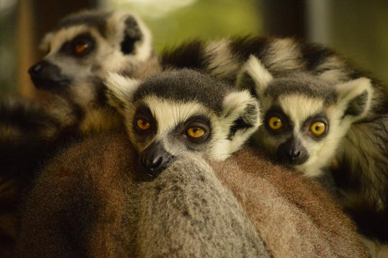 名護自然動植物公園株式会社の求人・転職情報