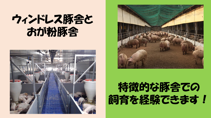 株式会社ヒラノの求人・転職情報