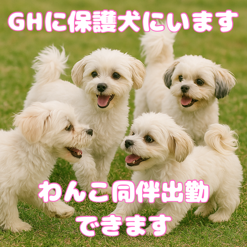 相談支援事業所　わおんサポート(合同会社NPライフケア)のアルバイト・バイト求人情報-03