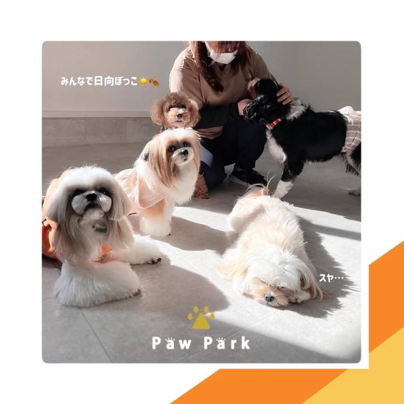 PawPark 福岡長住店のアルバイト・バイト求人情報-02