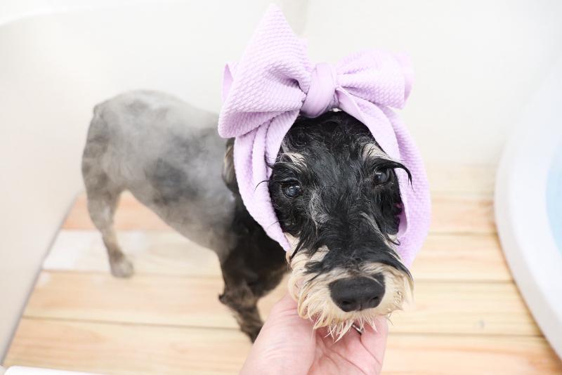 WANTISEのアルバイト・バイト求人情報-02