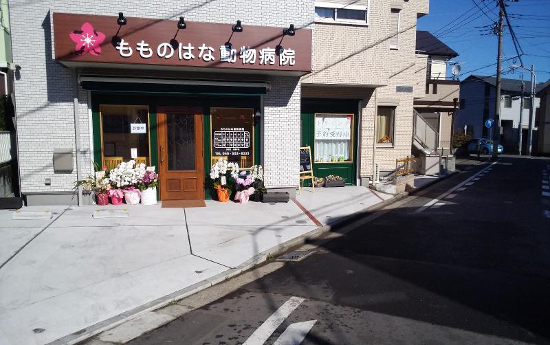 もものはな動物病院のアルバイト・バイト求人情報-02