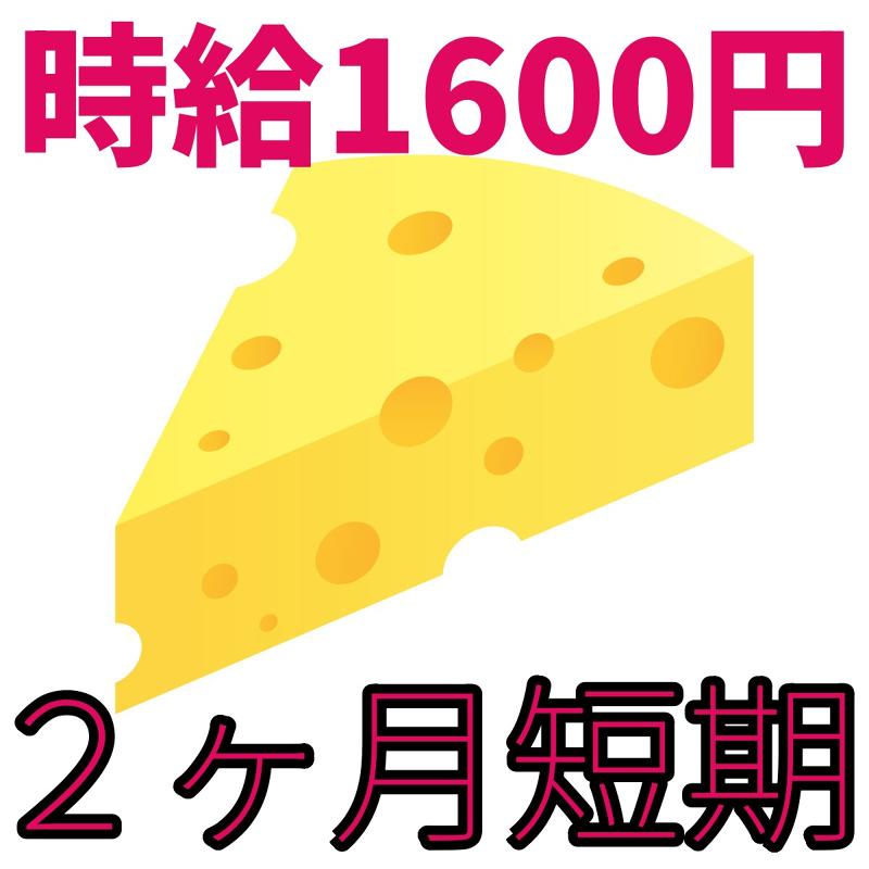 株式会社メッセの派遣求人情報