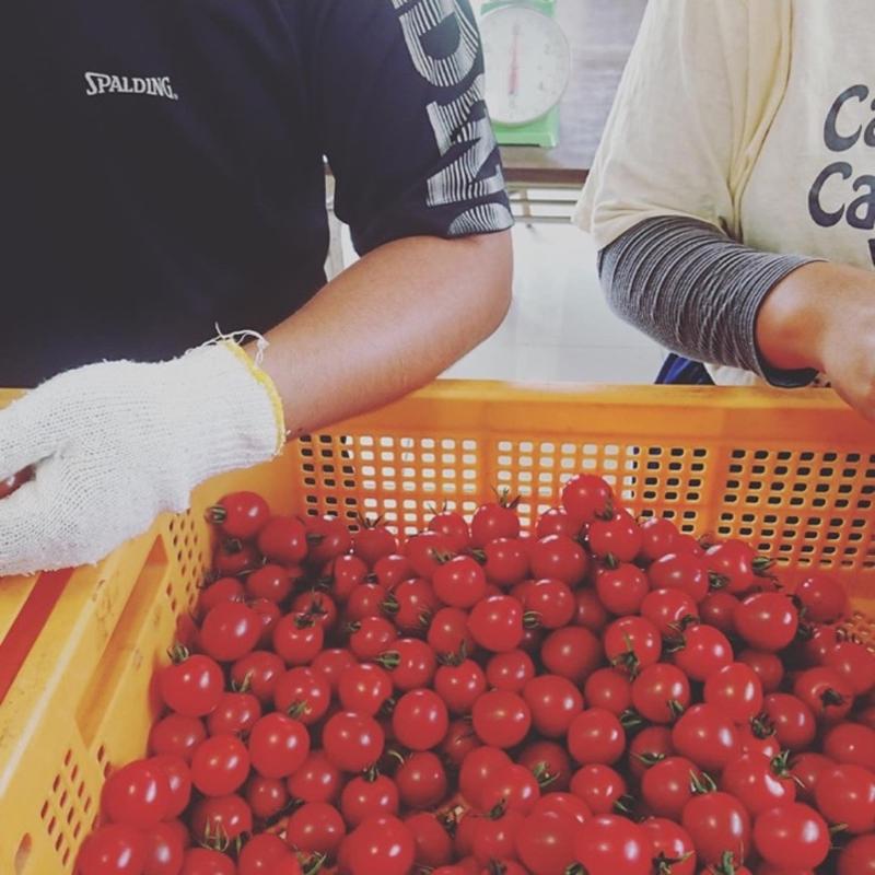 株式会社ワンライフのアルバイト・バイト求人情報-03