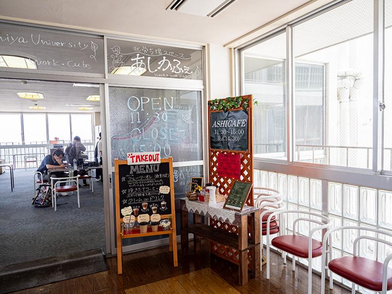 株式会社プランツ・キューブの求人・転職情報