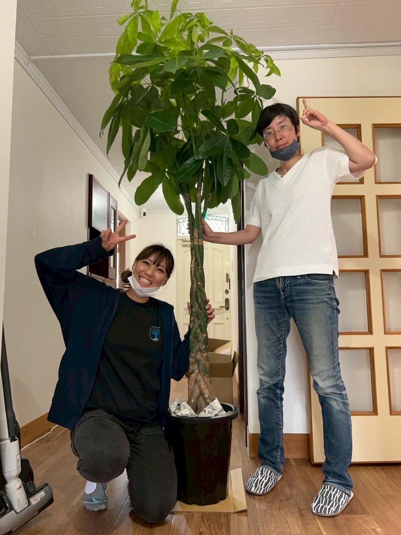 合同会社BlueGreenの求人・転職情報