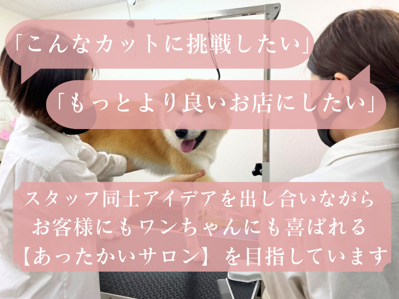 ペットサロン　ジジのアルバイト・バイト求人情報-03