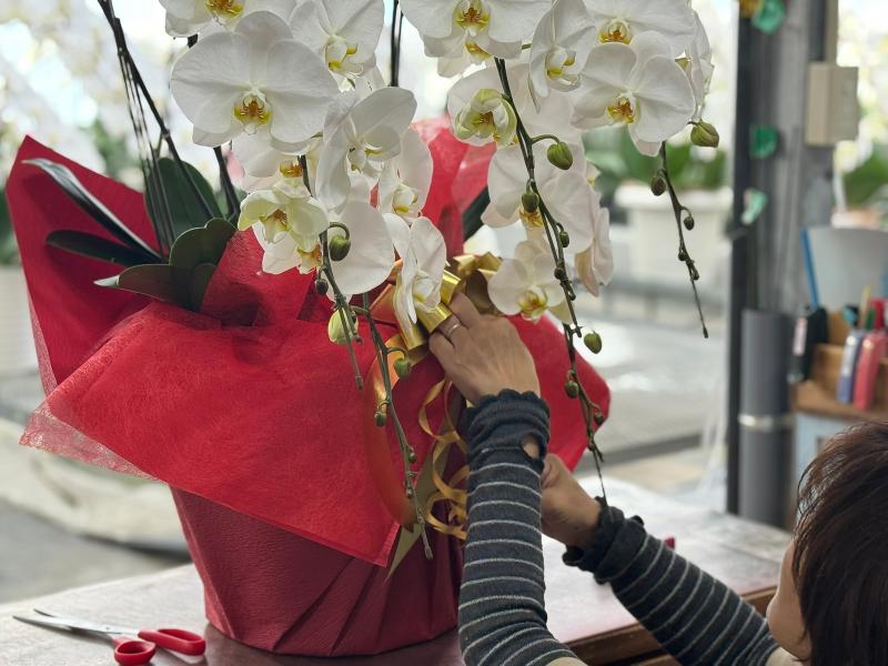 有限会社栗田洋蘭園の求人・転職情報