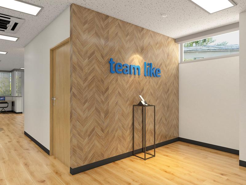 株式会社チームライクの求人・転職情報