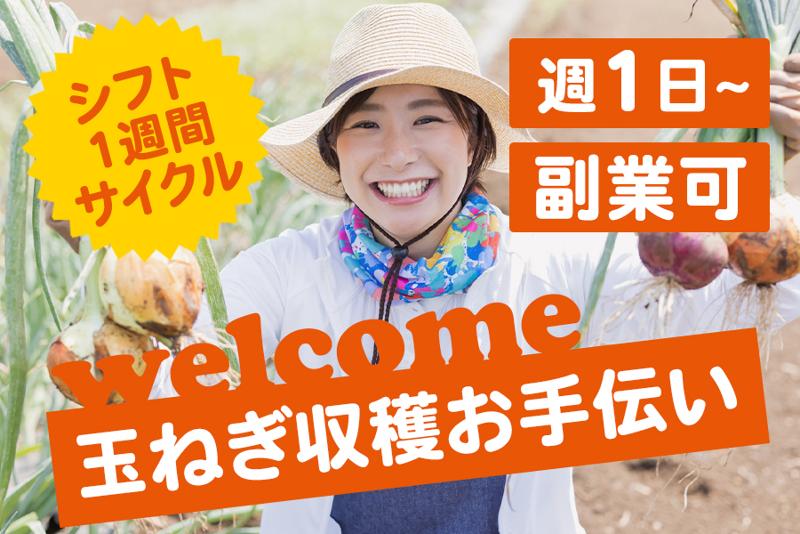 株式会社カレンの求人・転職情報