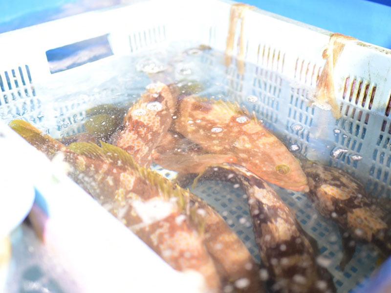 株式会社わたつみのアルバイト・バイト求人情報-05