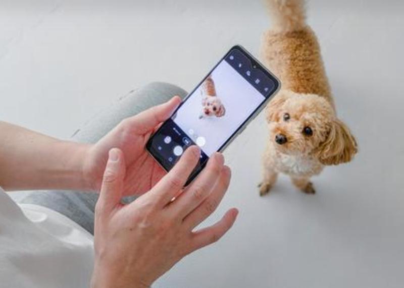 株式会社WannaBe の求人・転職情報