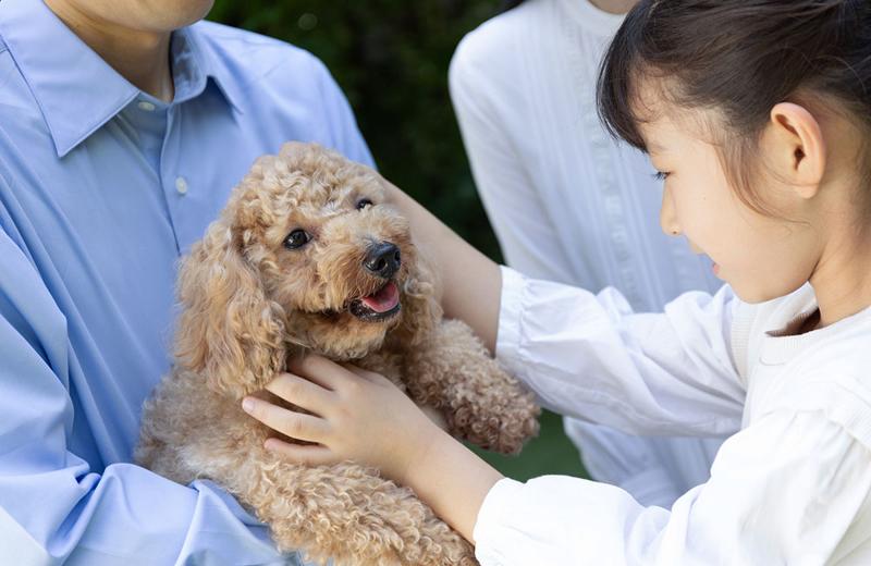 株式会社THE DOG COMPANYの求人・転職情報