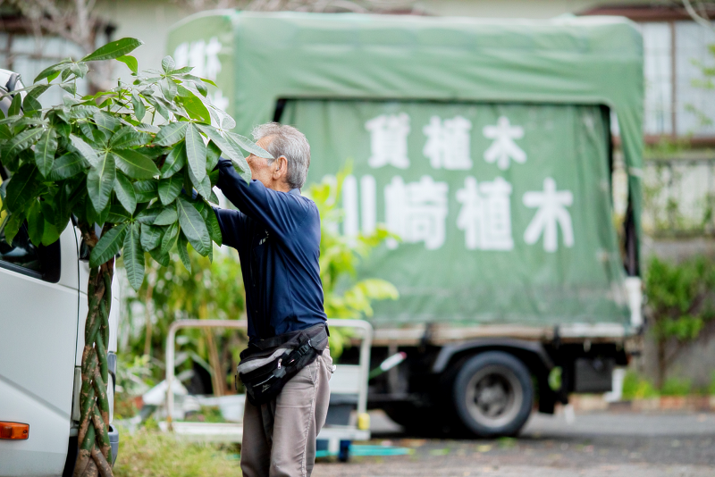 株式会社川崎植木のアルバイト・バイト求人情報-02