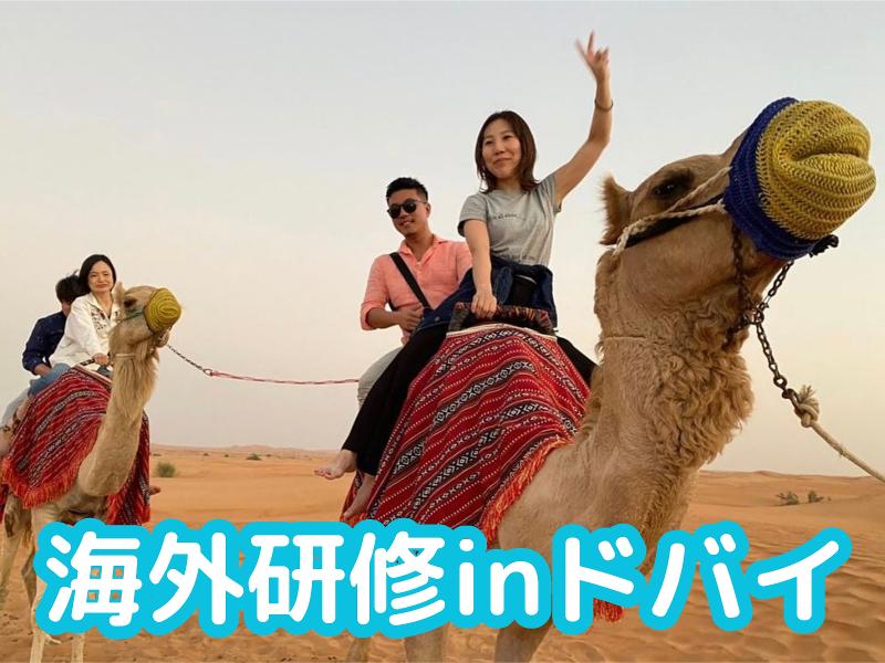 株式会社オータスのアルバイト・バイト求人情報-05