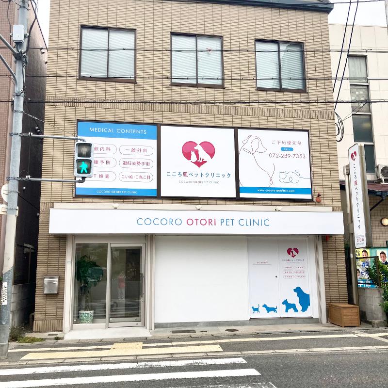 株式会社こころの求人・転職情報