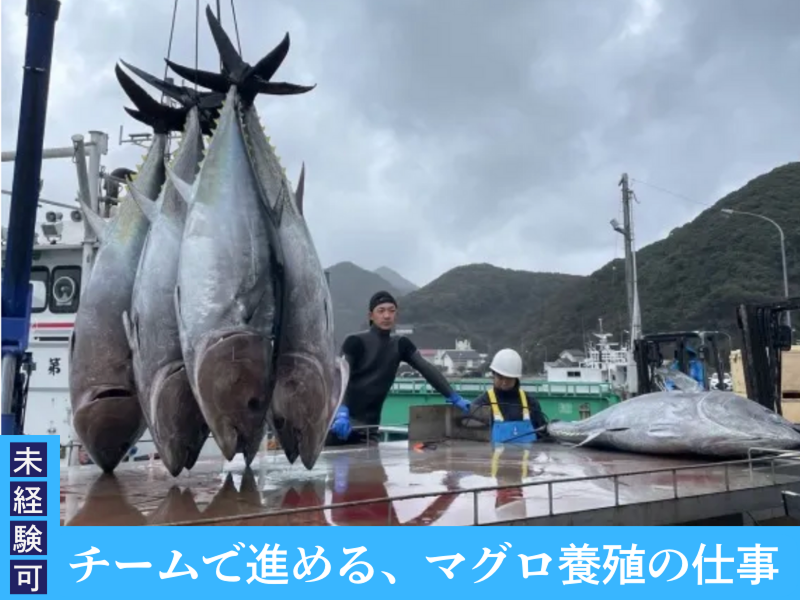 株式会社道水-0003の求人・転職情報