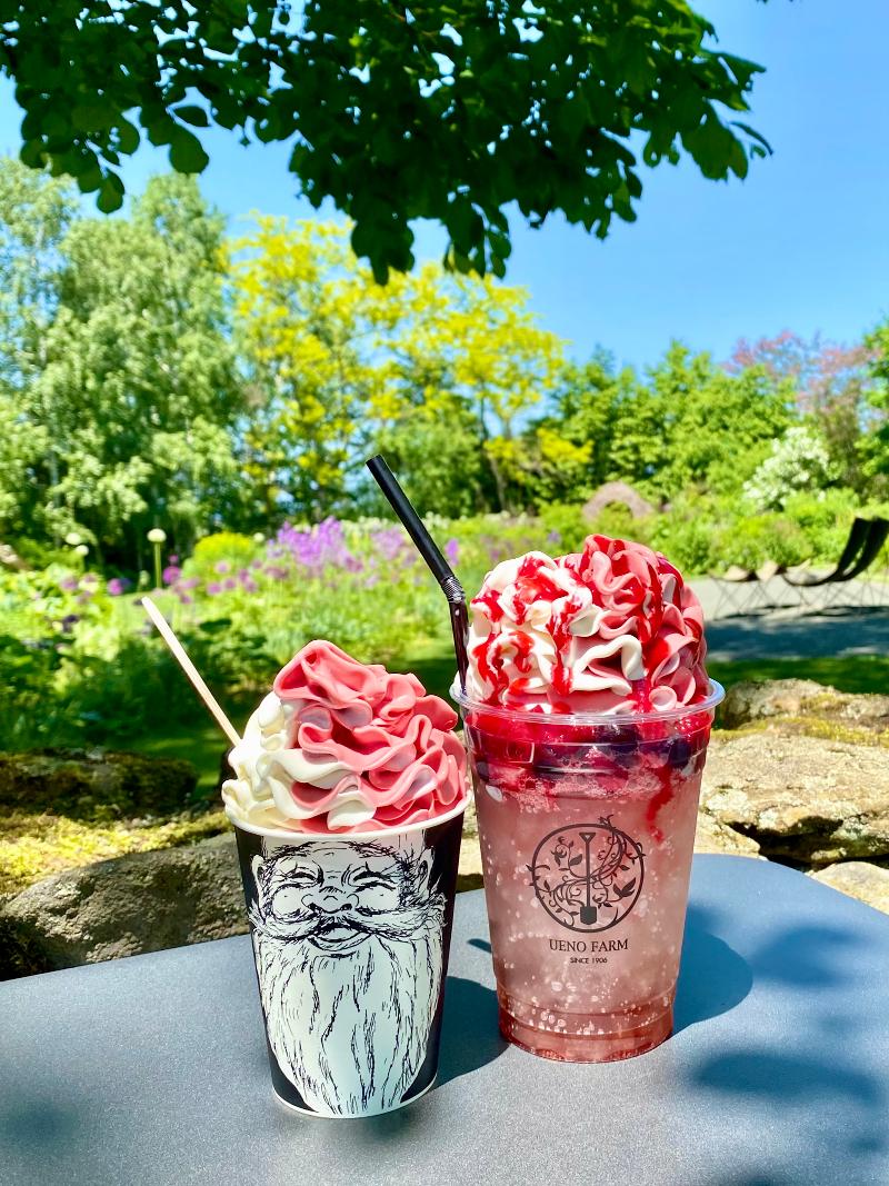 上野ファーム NAYA cafeのアルバイト・バイト求人情報-04