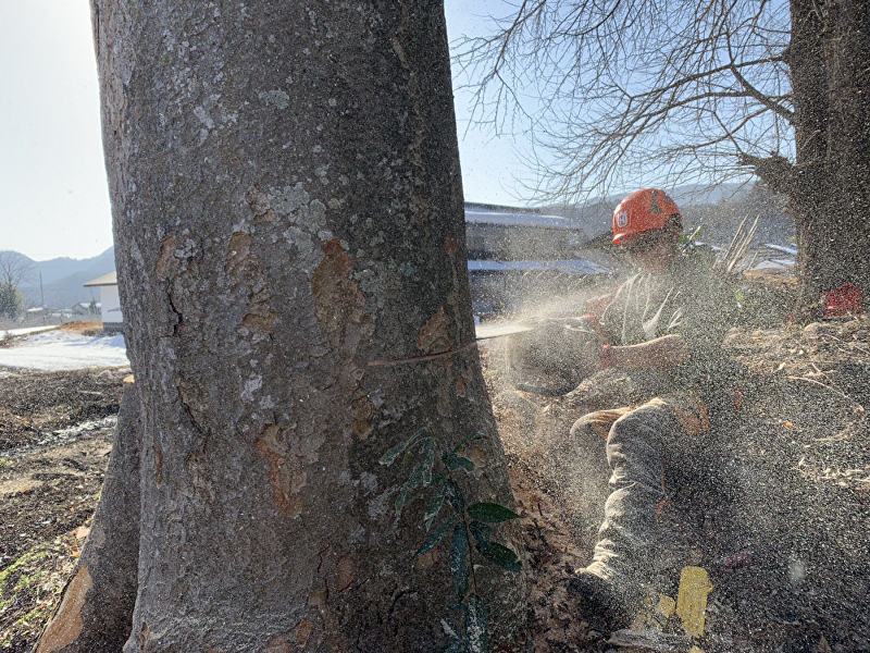 原澤林業株式会社の求人・転職情報