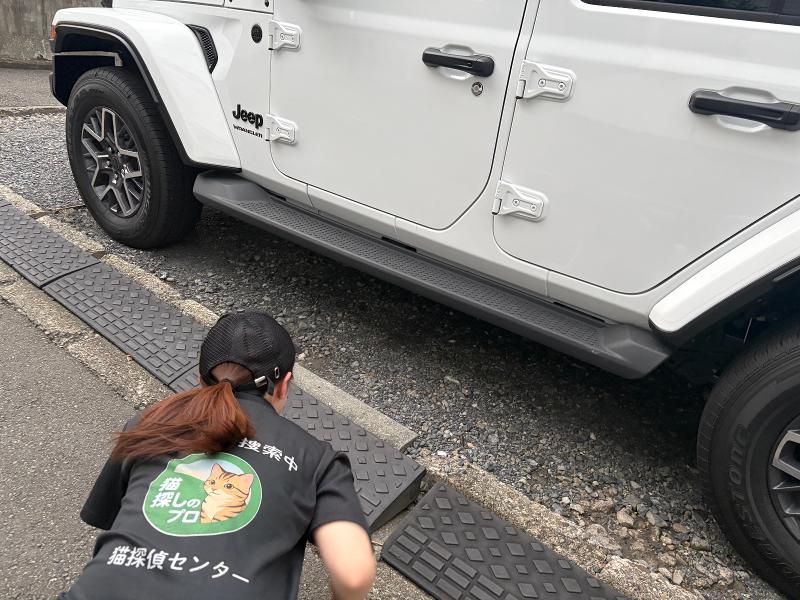 株式会社シジョウの求人・転職情報