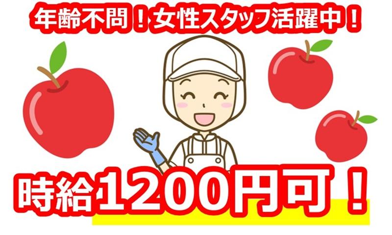 JAあづみ 果実南部選果所