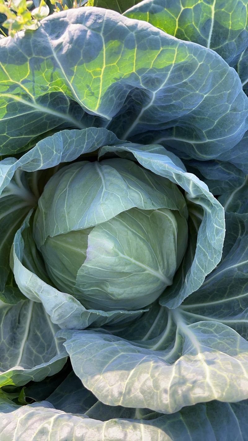 有限会社 光部牧場のアルバイト・バイト求人情報-03