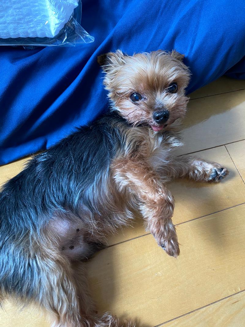 株式会社よしみケアの求人・転職情報