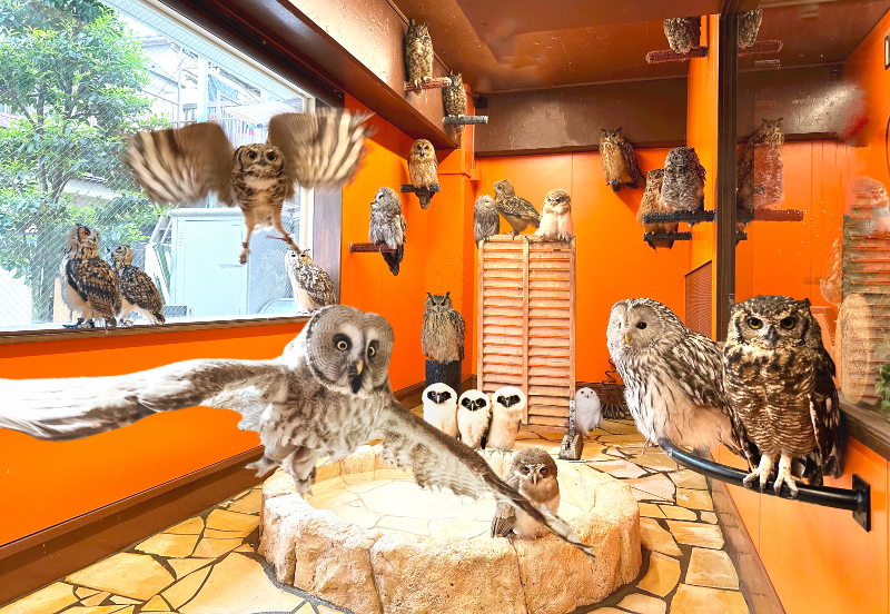 株式会社鳥カフェの求人・転職情報