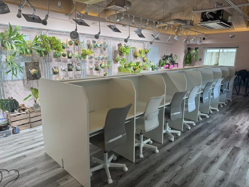 株式会社スカルドの求人・転職情報