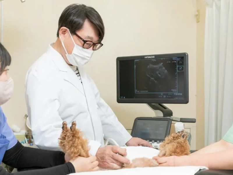 新横浜動物医療センターのアルバイト・バイト求人情報-03