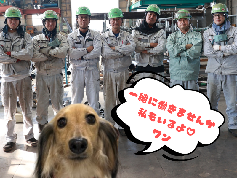 有限会社サイトーテクノの求人・転職情報