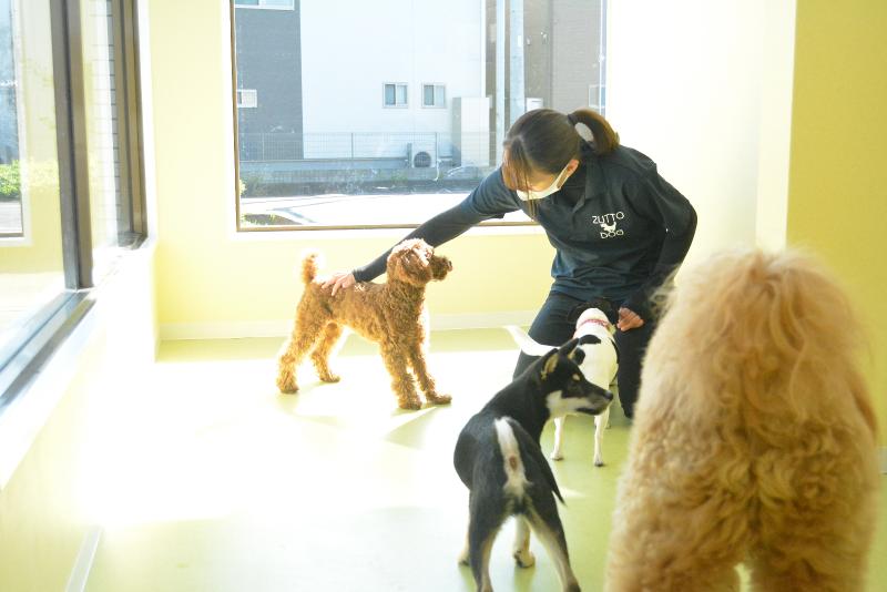 ZUTTO DOGのアルバイト・バイト求人情報-03