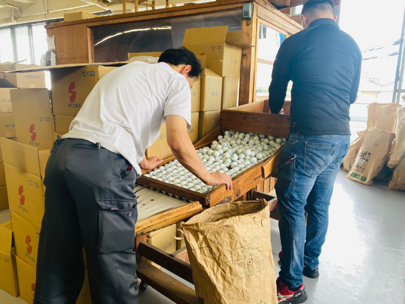 株式会社新大阪ゴルフ商会-0002の求人・転職情報