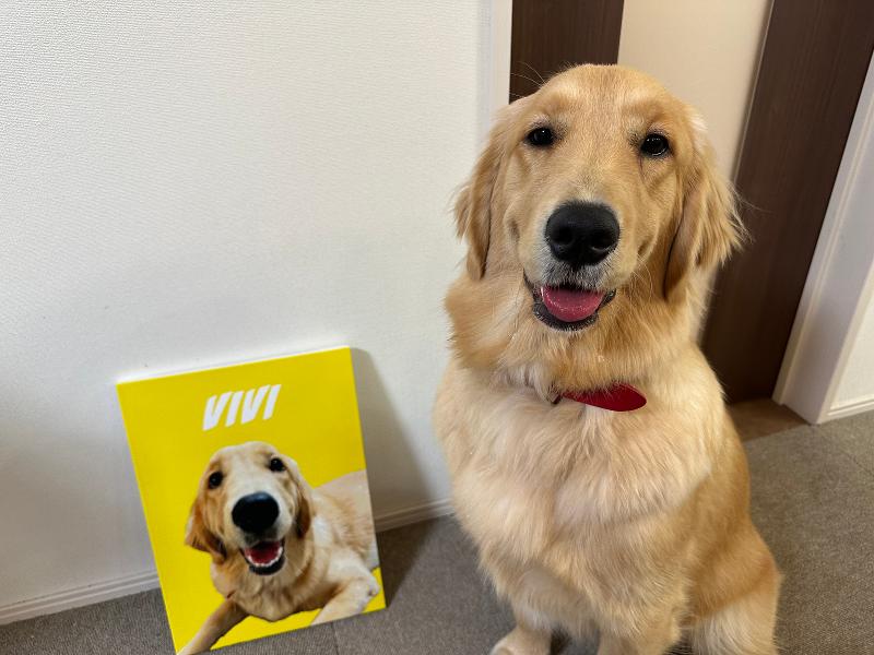 ピクルスアートの求人・転職情報