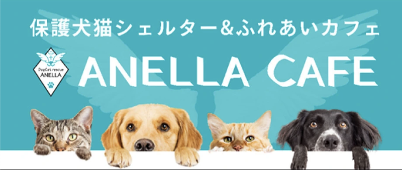 合同会社mofu.のアルバイト・バイト求人情報-02