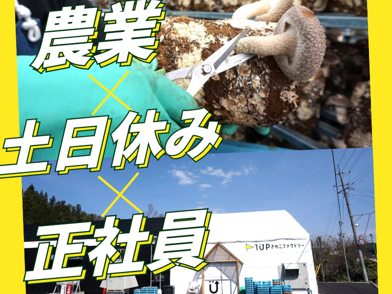 大心株式会社の求人・転職情報