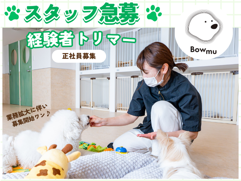 (株)MIJウエルネスの求人・転職情報