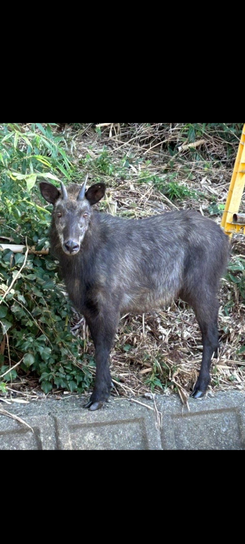 小野整形外科医院のアルバイト・バイト求人情報-02