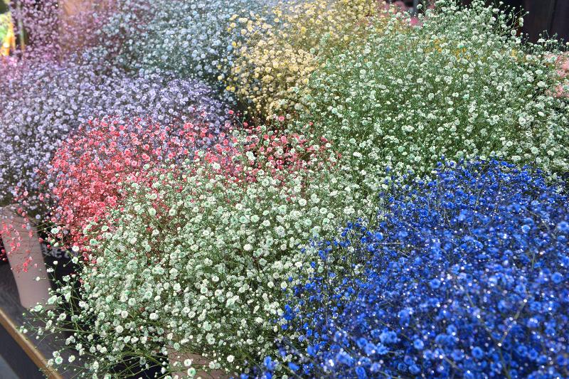 株式会社いわい生花のアルバイト・バイト求人情報-04