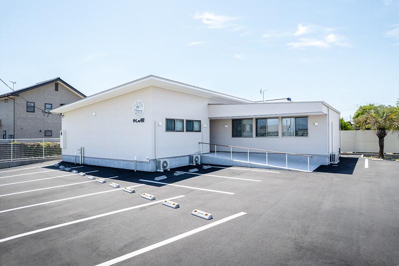 一般社団法人パームツリーの求人・転職情報