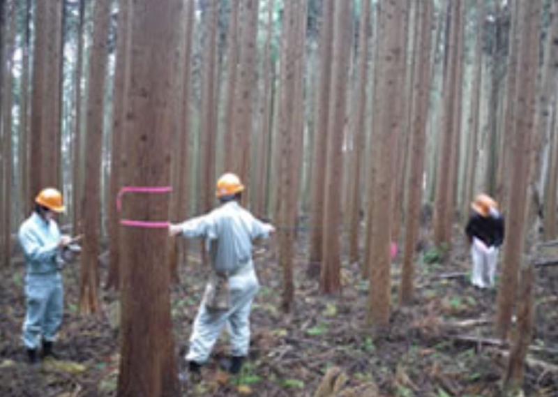 株式会社鈴木測量設計　盛岡支店のアルバイト・バイト求人情報-02