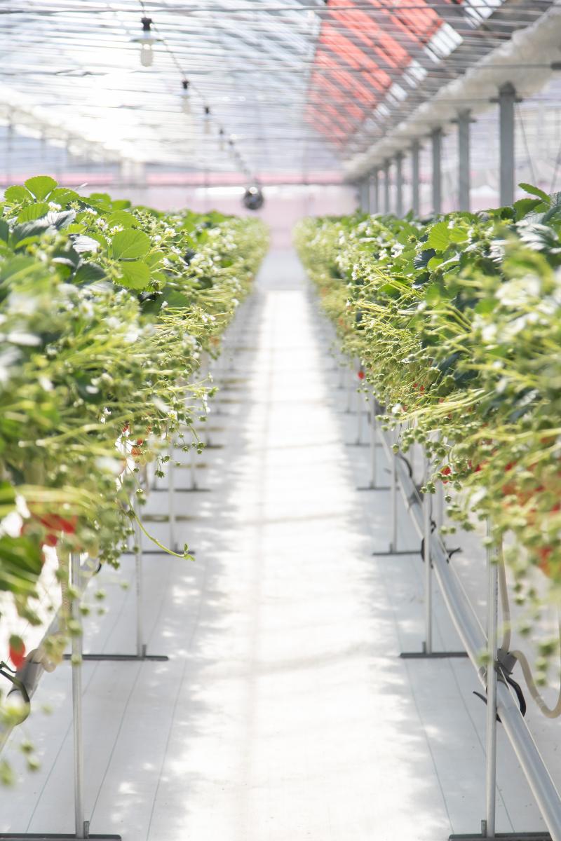 株式会社ててかむのアルバイト・バイト求人情報-02